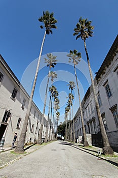 National Museum of Natural History and Science in Lisbon