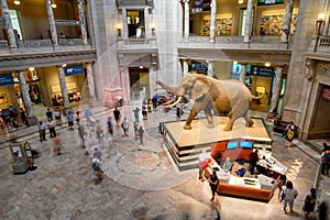 National Museum of Natural History in Washington D.C.