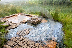 National natural reserve SOOS, Western Bohemia, Czech republic