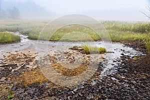 National natural reserve SOOS, Western Bohemia, Czech republic photo