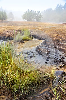 National natural reserve SOOS, Western Bohemia, Czech republic photo