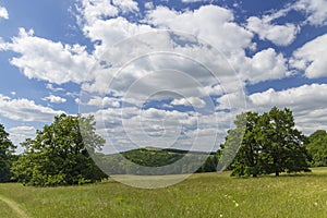 National nature reservation Vojsicke louky near Lucina,  White Carpathians, Czech Republic