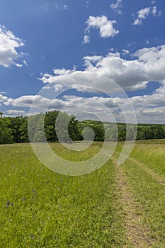 National nature reservation Vojsicke louky near Lucina,  White Carpathians, Czech Republic