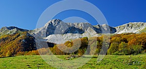 National park Abruzzo Lazio Molise