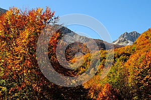 National park Abruzzo Lazio Molise