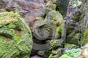 National Park of Adrspach - Teplice rocks. Rock Town. Czech Republic