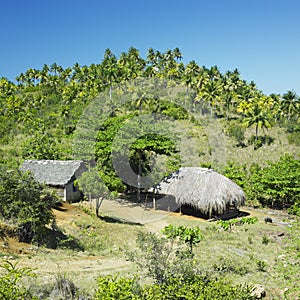 National Park of Alejadro de Humboldt