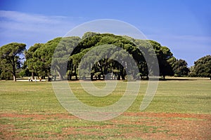 National park Brijuni on Brijuni islands