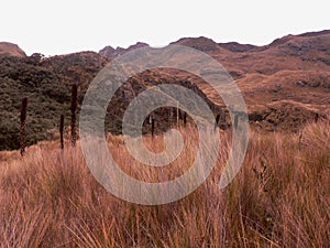 National park Cajas, ecuador photo