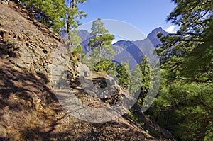 National Park Caldera de Taburiente on the island La Palma, Canary Islands, Spain photo