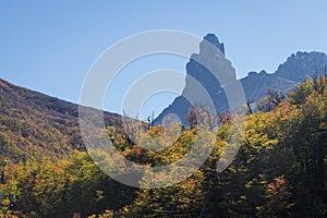 National park Cerro Castilloe. austral highway, chile, XI region of Aysen. Patagonia photo