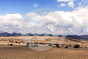 National Park Chimborazo In South America