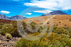 National park del Teide, view of magical park photo