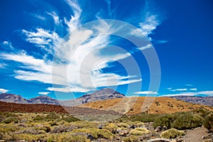 National park del Teide, view of magical park