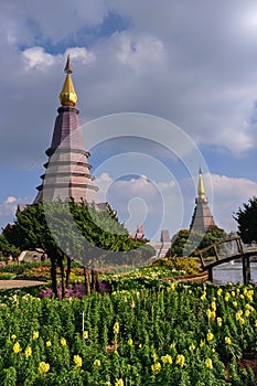 National park Doi Inthanon Chiang Mai, Thailand