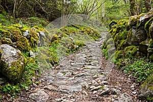 National park Ecrins