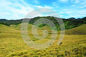 National Park Horton Plains and blue sky photo