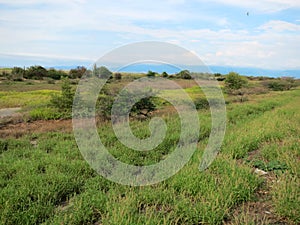 National Park Isla de Salamanca, Barranquilla, Colombia photo