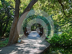 National Park Krka, Dlamatia, Croatia. Wooden footbridge