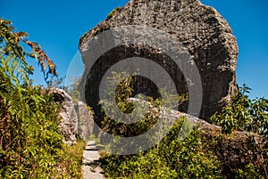 National Park of La Gran Piedra, Big Rock in the Sierra Maestra mountain range near Santiago de Cuba, Cuba.