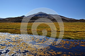 National Park Lauca