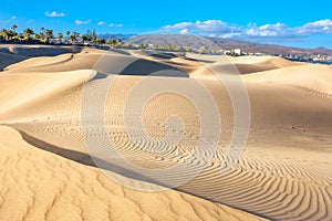 National park of Maspalomas sand dunes. Gran Canaria, Canary isl photo