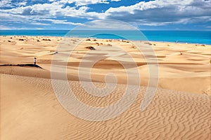 National park of Maspalomas sand dunes. Gran Canaria, Canary islands, Spain