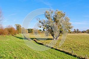 National Park Odertal in Germany, unique floodplain landscape