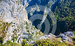 National Park of the Picos de Europa. Tresviso.