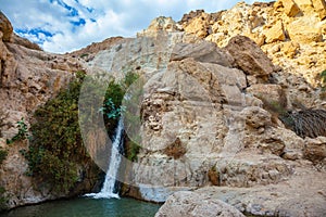 The national park and reserves Ein Gedi, Israel photo