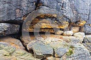 The national park Saxony Switzerland