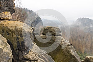 The national park Saxony Switzerland