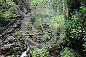 Národný park Slovenský raj, Slovensko