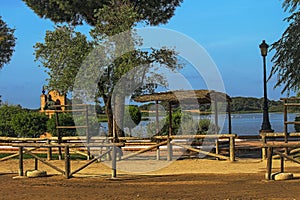 Walk of the marsh of El RocÃÂ­o