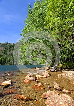 National park Sumava,Czech republic