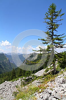 National Park Sutjeska