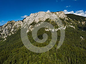 National park Sutjeska in Bosnia and Herzegovina. The park is one of the last primary forests in Europe.