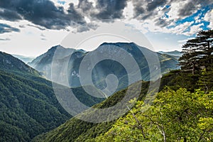 National park Sutjeska in Bosnia and Herzegovina. The park is one of the last primary forests in Europe.