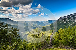 National park Sutjeska in Bosnia and Herzegovina. The park is one of the last primary forests in Europe.