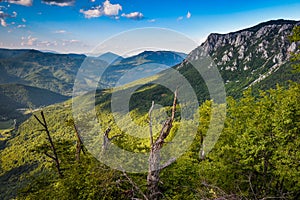 National park Sutjeska in Bosnia and Herzegovina. The park is one of the last primary forests in Europe.