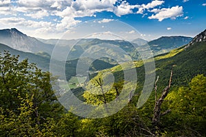 National park Sutjeska in Bosnia and Herzegovina. The park is one of the last primary forests in Europe.