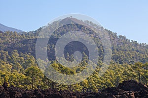 National Park Teide. Hiking on Tenerife.