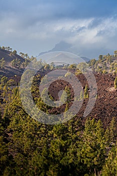 National Park Teide. Hiking on Tenerife.