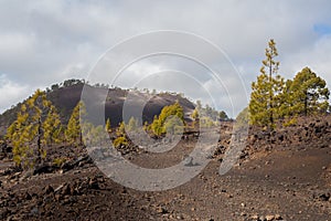 National Park Teide. Hiking on Tenerife.