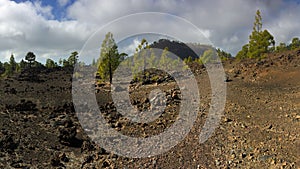 National Park Teide. Hiking on Tenerife.