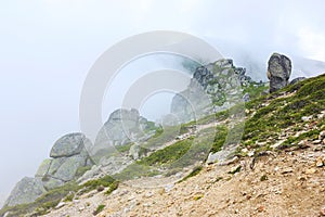 National park Uludag