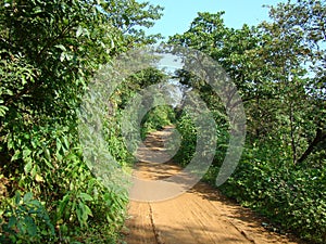 National park Vasai