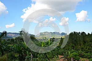 National park Vinales