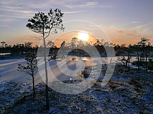 National park and wetlands in Kemeri. Catching the sunset in latvian nation park.