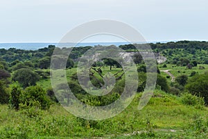 National reserve in Tanzania in Africa. a picturesque park with wild animals.